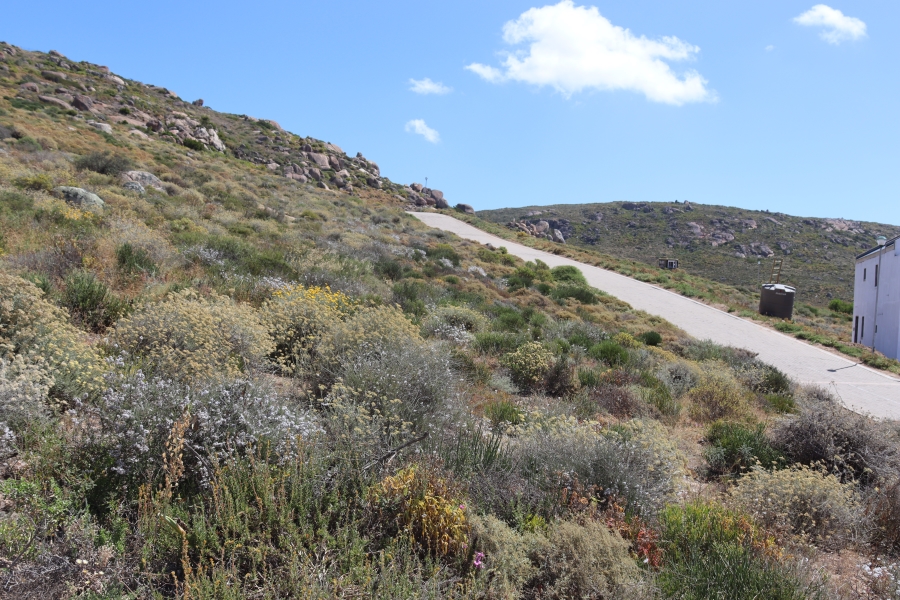 0 Bedroom Property for Sale in St Helena Views Western Cape